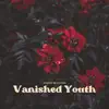 Vanished Youth - Single album lyrics, reviews, download
