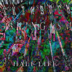 Half Life by SkinGASM, Skin Vehicles & ANEURGASM album reviews, ratings, credits