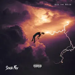 Soul Fly - Single by Rize The Ruler album reviews, ratings, credits