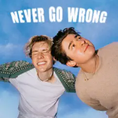 Never Go Wrong - Single by Nicky Youre & david hugo album reviews, ratings, credits