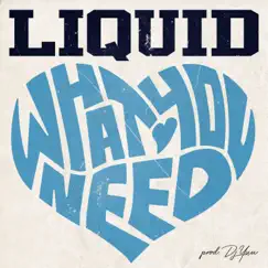 What You Need - Single by LIQUID album reviews, ratings, credits