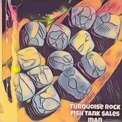 Turquoise Rock Fish Tank Sales Man Song Lyrics