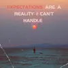 Expectations (Are a Reality I Can't Handle) (feat. Ambush & ZanderSalamander) - Single album lyrics, reviews, download