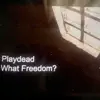 What Freedom ? (Demo) - Single album lyrics, reviews, download