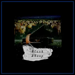 Black Sheep Song Lyrics