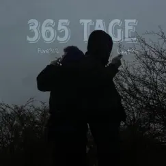 365 Tage - Single by Pure362 & Liqt36 album reviews, ratings, credits