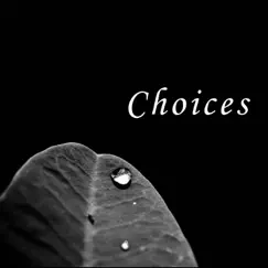 Choices - Single by Ramgopal Harikrishnan album reviews, ratings, credits