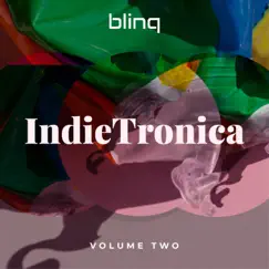 Indietronica, Vol. 2 by Blinq album reviews, ratings, credits