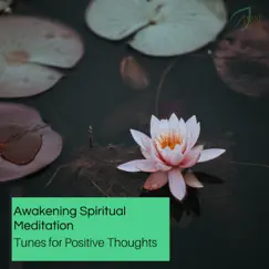 Awakening Spiritual Meditation - Tunes for Positive Thoughts by Various Artists album reviews, ratings, credits