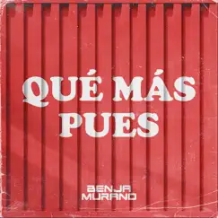 Que Mas Pues (feat. Fede Ibarra) [Remix] - Single by Benja Murano album reviews, ratings, credits