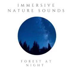 Forest At Night Song Lyrics