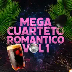 Mega Cuarteto Romántico Vol 1 (feat. Q Mania, El Ramy, Walter Encina & ALEGRISIMO DOBLE CUARTETO) - Single by Cuarteto del Bueno, Tropi Tube & Merengue Mix album reviews, ratings, credits