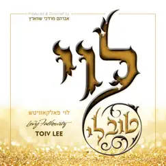 Toiv Lee by Levy Falkowitz album reviews, ratings, credits