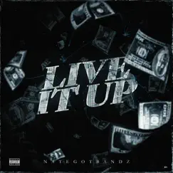 Live It Up - Single by NateGotBandz album reviews, ratings, credits