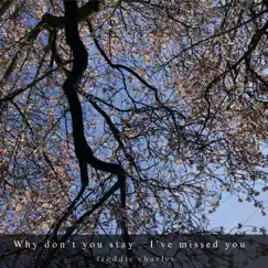 Why don't you stay / I've missed you - Single by Freddie charles album reviews, ratings, credits