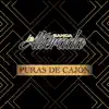 Puras De Cajón - EP album lyrics, reviews, download