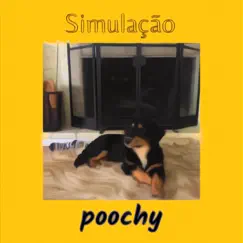 Simulação - Single by Poochy album reviews, ratings, credits