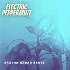 Electric Peppermint - Single by Răzvan Harag album reviews, ratings, credits