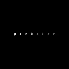 Predator - Single by STEIN27 album reviews, ratings, credits