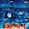 Snowfall - Single album lyrics, reviews, download