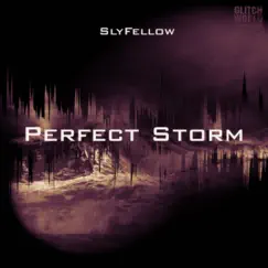 Perfect Storm - Single by SlyFellow album reviews, ratings, credits