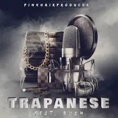 Trapanese (feat. Bush) - Single by PinkHairProducer album reviews, ratings, credits