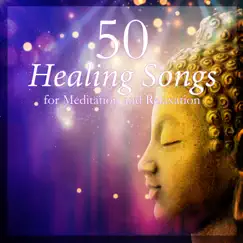 50 Healing Songs for Meditation and Relaxation: Serenity Music for Yoga, Spa, Massages and Sleep, Relaxing Zen Music by Deep Visualization Zen, Nature Zone & Abundant Nature Zen album reviews, ratings, credits