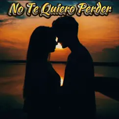 No Te Quiero Perder (feat. Eleicer) - Single by Ral De Rocha album reviews, ratings, credits