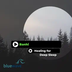 Healing for Deep Sleep by Banhi album reviews, ratings, credits