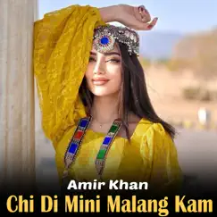 Chi Di Mini Malang Kam - Single by Ustad Amir Khan album reviews, ratings, credits