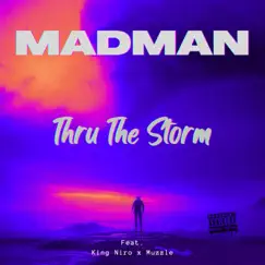 Thru the Storm (feat. KingNiro & Muzzle) - Single by Madman album reviews, ratings, credits