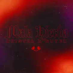 Mala Hierba Song Lyrics