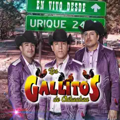 En Vivo Desde Urique, Chihuahua (En vivo) by Los Gallitos de Chihuahua album reviews, ratings, credits