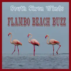 Flambo Beach Buzz Song Lyrics