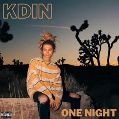 One Night - Single by KDIN album reviews, ratings, credits