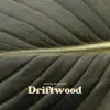 Driftwood - Single album lyrics, reviews, download