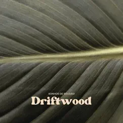 Driftwood Song Lyrics