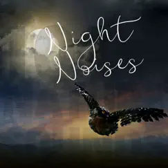 Night Noises (Owl, Rain, Crickets, Jungle) by Sleep Crickets & 101 Nature Sounds album reviews, ratings, credits