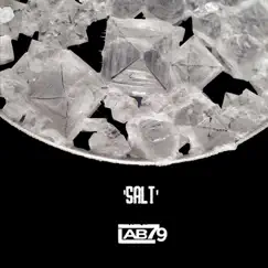 SALT (feat. Conflix, Skirmish, Apex Zero, Menace Mendoza, Reain, Manage & Fidel Cutsro) - Single by LAB79SOUNDS album reviews, ratings, credits