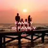 Family Is Family - Single album lyrics, reviews, download