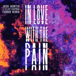 In Love with the Pain (Forbid Remix) Song Lyrics