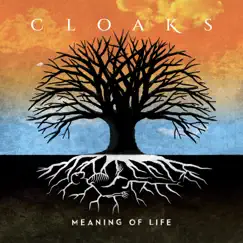 Meaning of Life - Single by Cloaks album reviews, ratings, credits