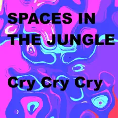 Cry Cry Cry - Single by Spaces in the Jungle album reviews, ratings, credits