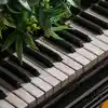 Piano Harmony - Single album lyrics, reviews, download
