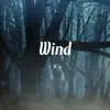 Wind - Single album lyrics, reviews, download