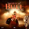 Service Bull (feat. NSG) song lyrics