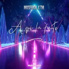 A qui la faute - Single by Museekal & T.M. album reviews, ratings, credits