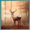 In the Woodland album lyrics, reviews, download