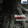 Brahms: Piano Trios No.1 & No.2 album lyrics, reviews, download