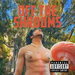 Off the Shrooms - Single by Kevin George album reviews, ratings, credits